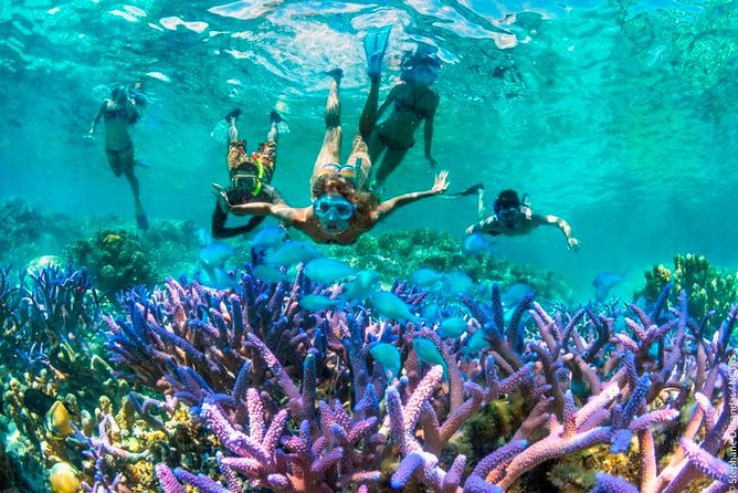 Snorkeling and East Bali Tour ( Packages 5 )