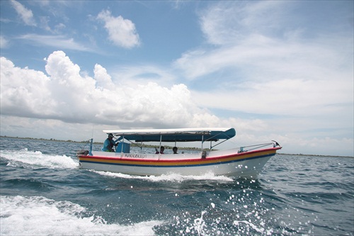 Glass Bottom Boat , Turtle Island ,  and Uluwatu Tour ( Packages 4 )