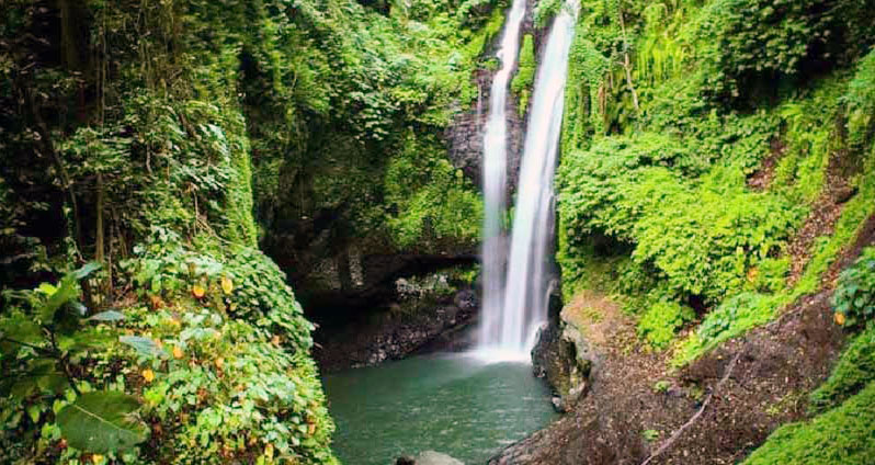 Nature and Jungle Tours ( Package 4 )