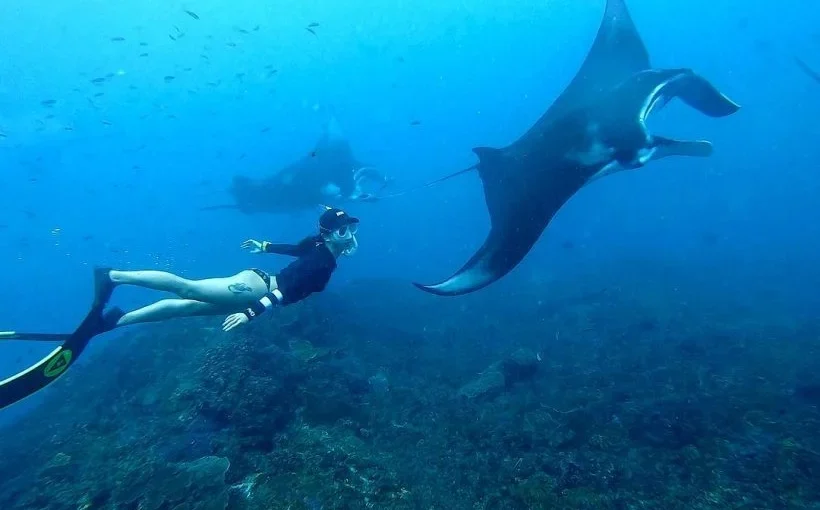 Snorkeling Packages ( Packages 2 )