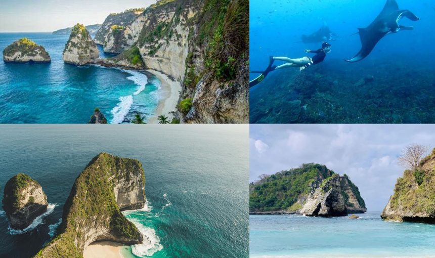 Complete Package ( Packages 1 )